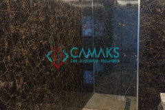Cam kapı