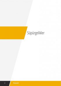 Süpürgelikler
